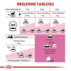 Royal Canin Mother Baby Cat 4 Kg