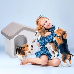 Imac Zeus 50 Evcil Hayvan Evi Bej Beyaz 53 x 46 x 47,6 cm