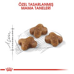 Royal Canin Kitten 4 kg Yavru Kedi Maması