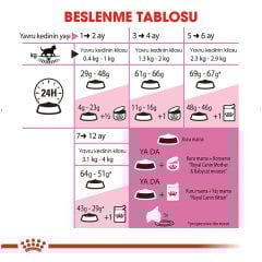 Royal Canin Kitten 4 kg Yavru Kedi Maması