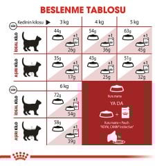 Royal Canin Fit 32 2 kg İdeal Kiloya Sahip Yetişkin Kedi Maması