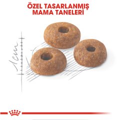 Royal Canin Fit 32 2 kg İdeal Kiloya Sahip Yetişkin Kedi Maması