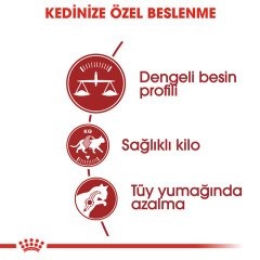 Royal Canin Fit 32 15 kg İdeal Kilodaki Yetişkin Kedi Maması
