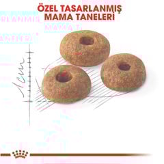 Royal Canin Fit 32 15 kg İdeal Kilodaki Yetişkin Kedi Maması