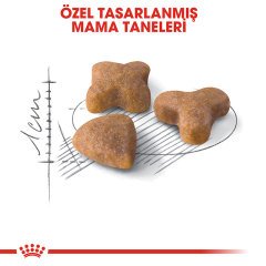 Royal Canin Sensible 33 2 kg