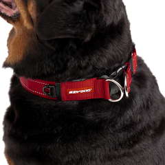 Ezydog Collar Double Up Large Köpek Boyun Tasması Mavi
