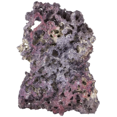 CaribSea Shelf LifeRock Dry Live Rock 18,14 kg