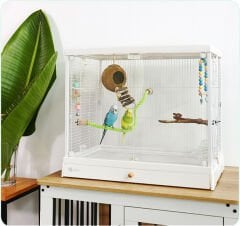 Dayang Üstten Açılır Cam Kafes 62  x 42 x 55 cm Beyaz