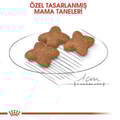 Royal Canin Mini Adult 8 kg Köpek Maması