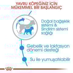 Royal Canin Mini Starter Mother Baby Dog 4 kg Yavru Köpek Maması