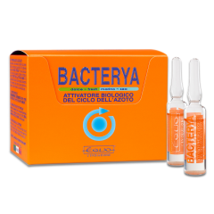 Equo Bacterya Bakteri Kültürü 5 ml x 24 Ampul