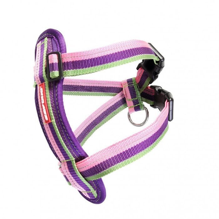 Ezydog Harnes Chest Plate Köpekler İçin Göğüs Tasması Buble (2X-Small)