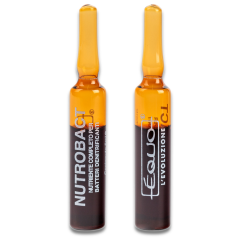Equo Nutrobact Denetrefik Bakteri Kombin Beslenme 5 ml x 6 Ampul
