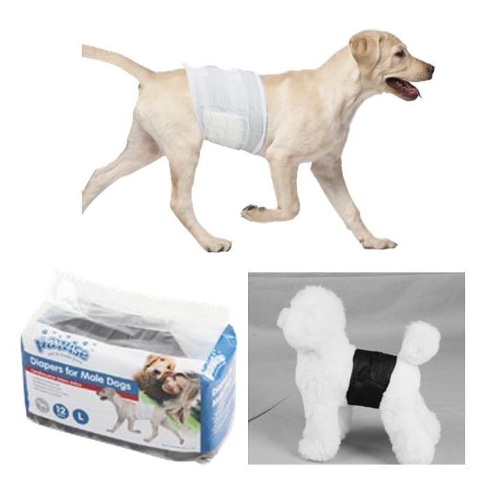Pawise Erkek Köpek Alt Bağlama Bezi L Siyah 12 li