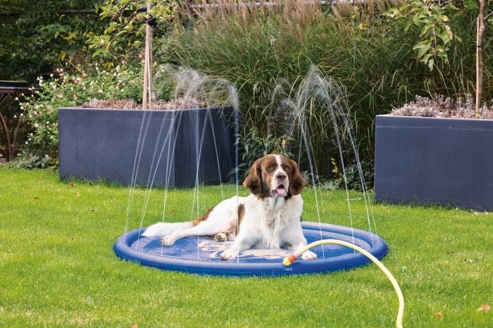 Karlie Mavi Fıskiyeli Köpek Havuzu 100 Cm