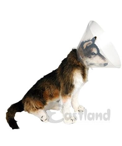 Eastland Elizabet Köpek Yakalığı 20 Cm