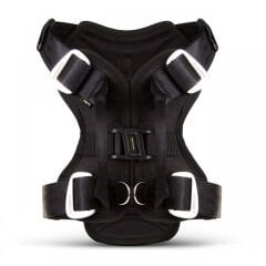 Ezydog Drive Car Harness L Siyah 49-106 cm Köpek Emniyet Tasması