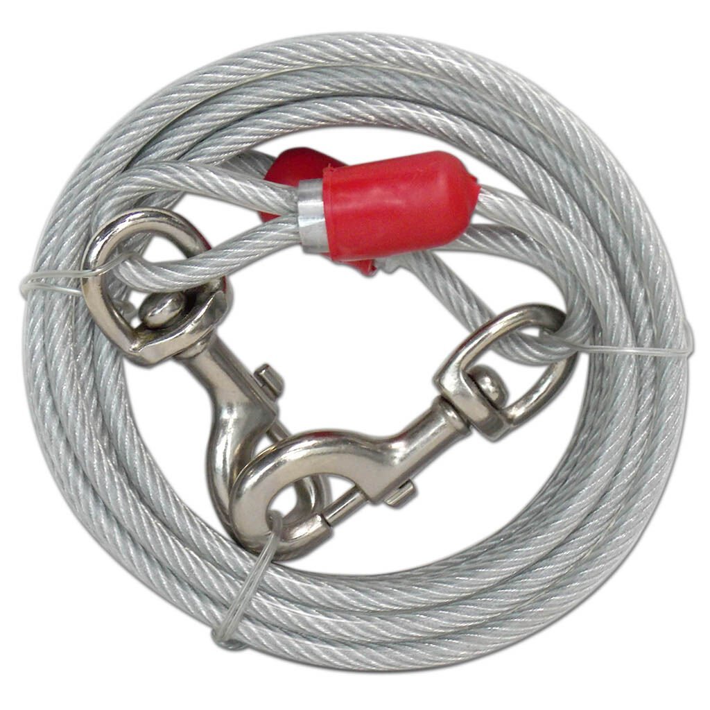 Eastland Nikel Kaplama Köpek Bahçe Bağlama 6 M