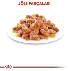 Royal Canin Kitten Jelly 85 Gr x 12 Adet