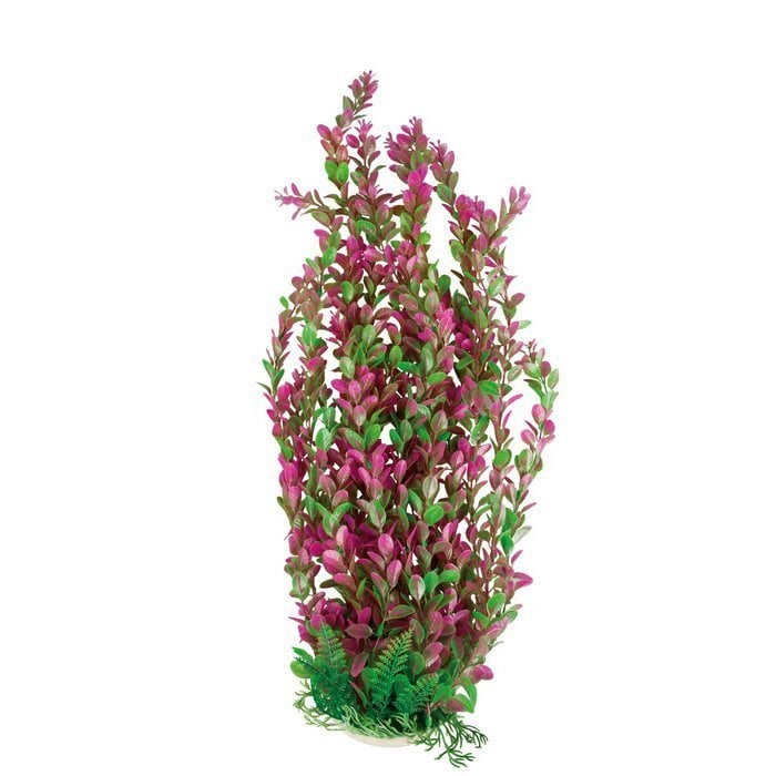 Chicos Pembe-Yeşil Akvaryum Plastik Bitki 60 cm