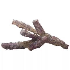 CaribSea Life Rock Belize Branch 9,07 kg