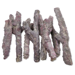 CaribSea Life Rock Belize Branch 9,07 kg