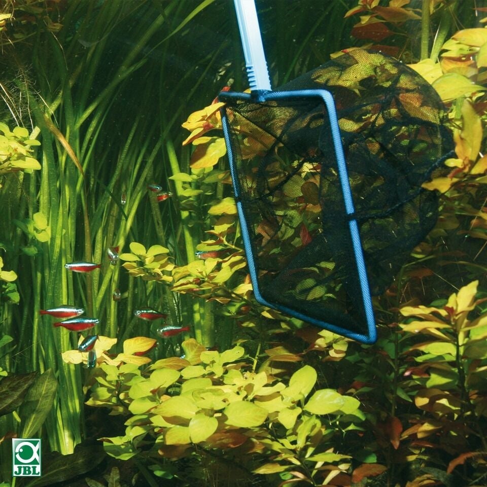 Jbl Premium Fish Net Balık Kepçesi ( 8 X 25Cm )