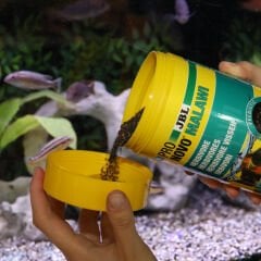 Jbl Pronovo Malawı Grano M 250ml