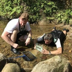 Jbl Premium Fish Net Balık Kepçesi ( 25 X 36Cm )