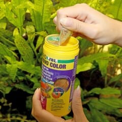 Jbl Pronovo Color Flakes M 100 ml