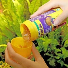 Jbl Pronovo Color Flakes M 100 ml