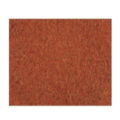 Tetra Pro Colour 100 gr - Açık Paket