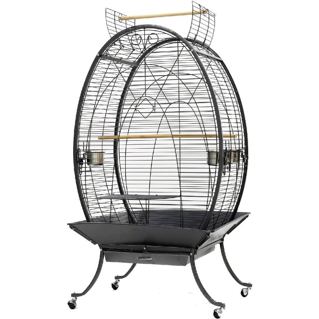 Dayang Oval Papağan Kafesi Ayaklı 89 x 60 x 159 cm