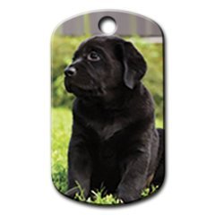 Dalis Pet Tag - Siyah Labrador Resimli Köpek Künyesi