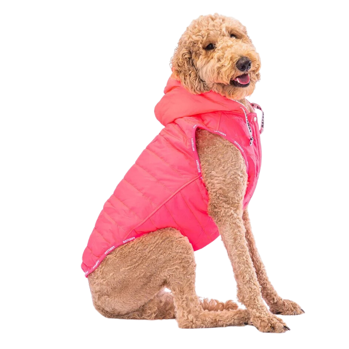 PawStar Neon Fuşya Railway Büyük Irk Yelek 5XL