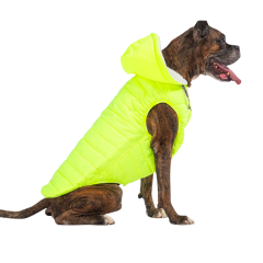 PawStar Neon Sarı Railway Büyük Irk Yelek 5XL