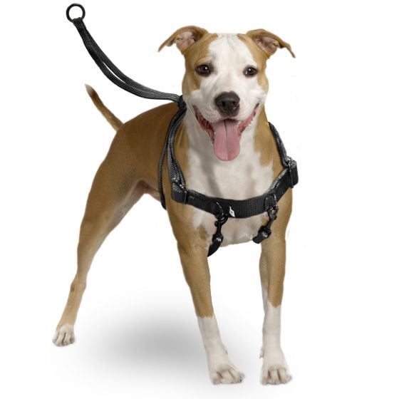 Karlie Easy Walker Kolay Yürüyüş Köpek Göğüs Tasması 31 x 39 cm Medium