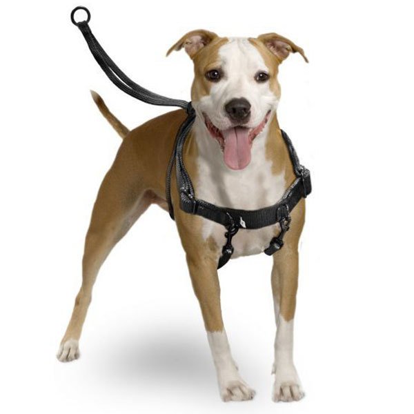 Karlie Easy Walker Kolay Yürüyüş Köpek Göğüs Tasması 31 x 39 cm Medium