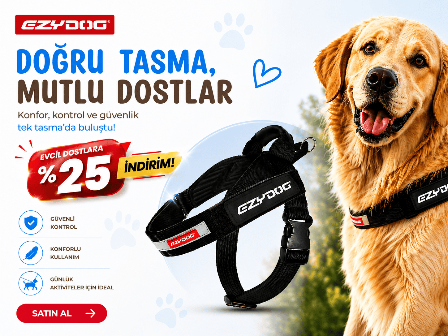 ezydog köpek tasması