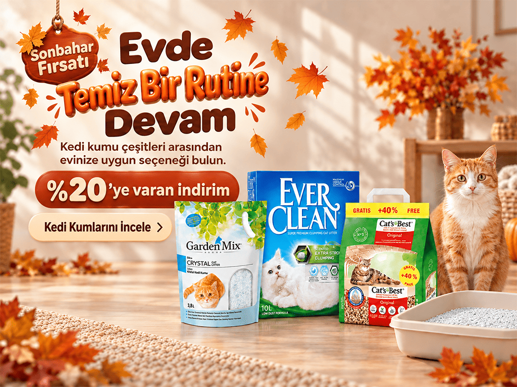kedi kumu fiyatları