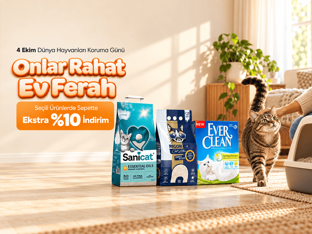 kedi kumu fiyatları