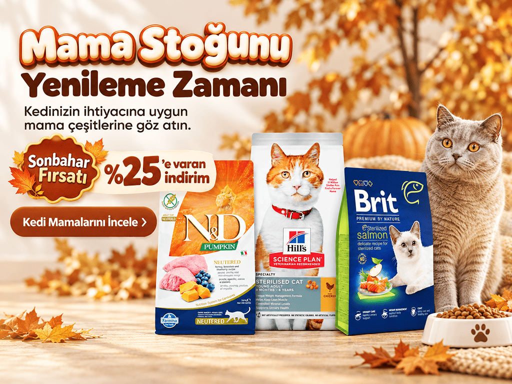 kedi maması