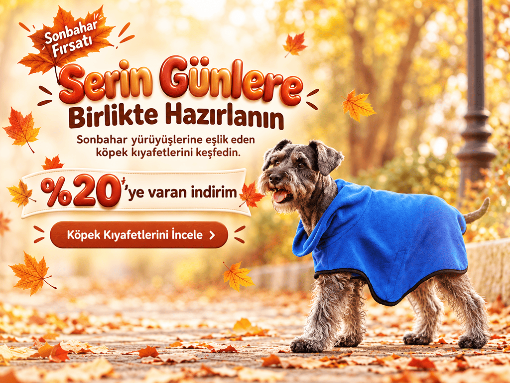 köpek kıyafeti