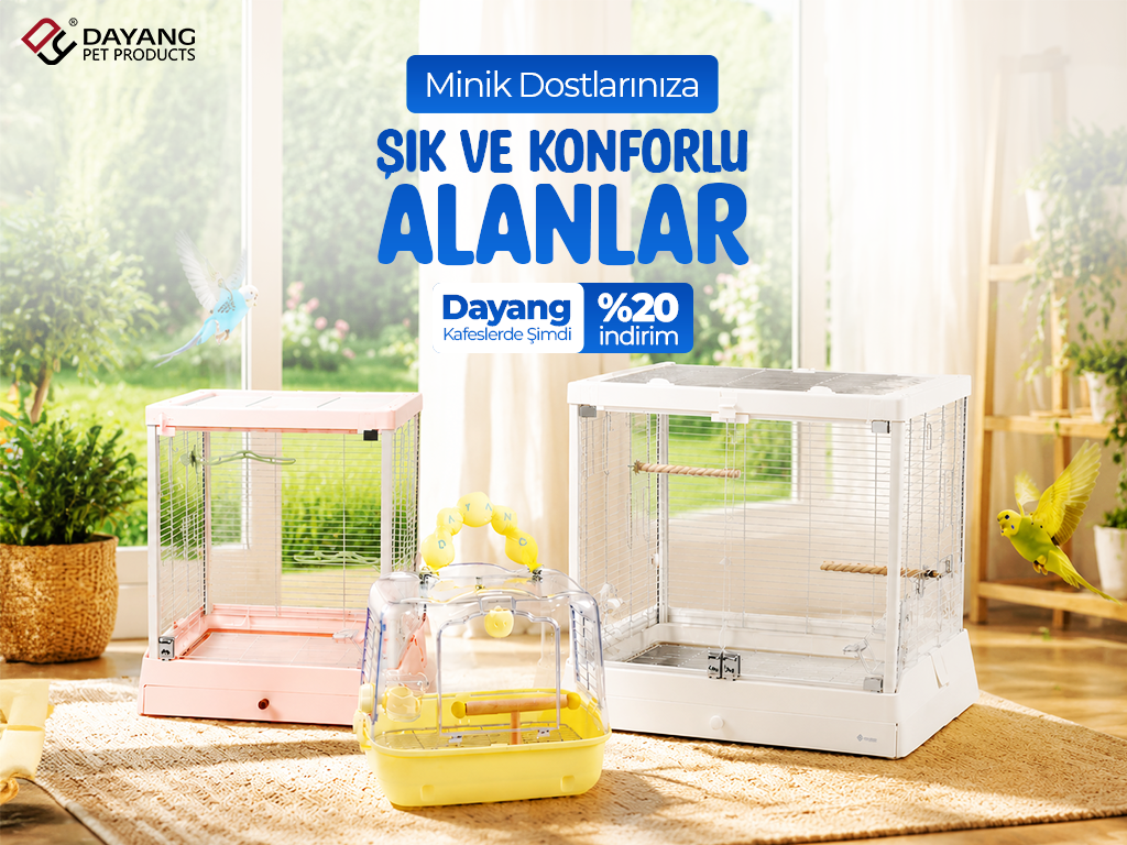 dayang papağan kafesi