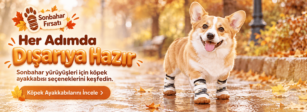 köpek ayakkabıları