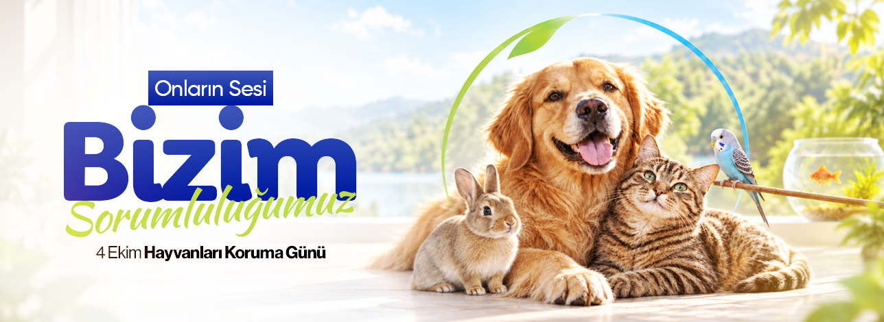 4 ekim