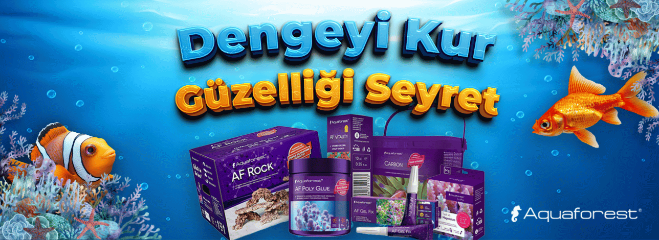 aquaforest akvaryum ürünleri