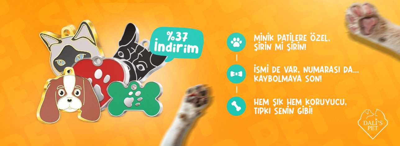 kedi köpek künyesi