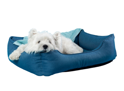 Evcilal Online Pet Market