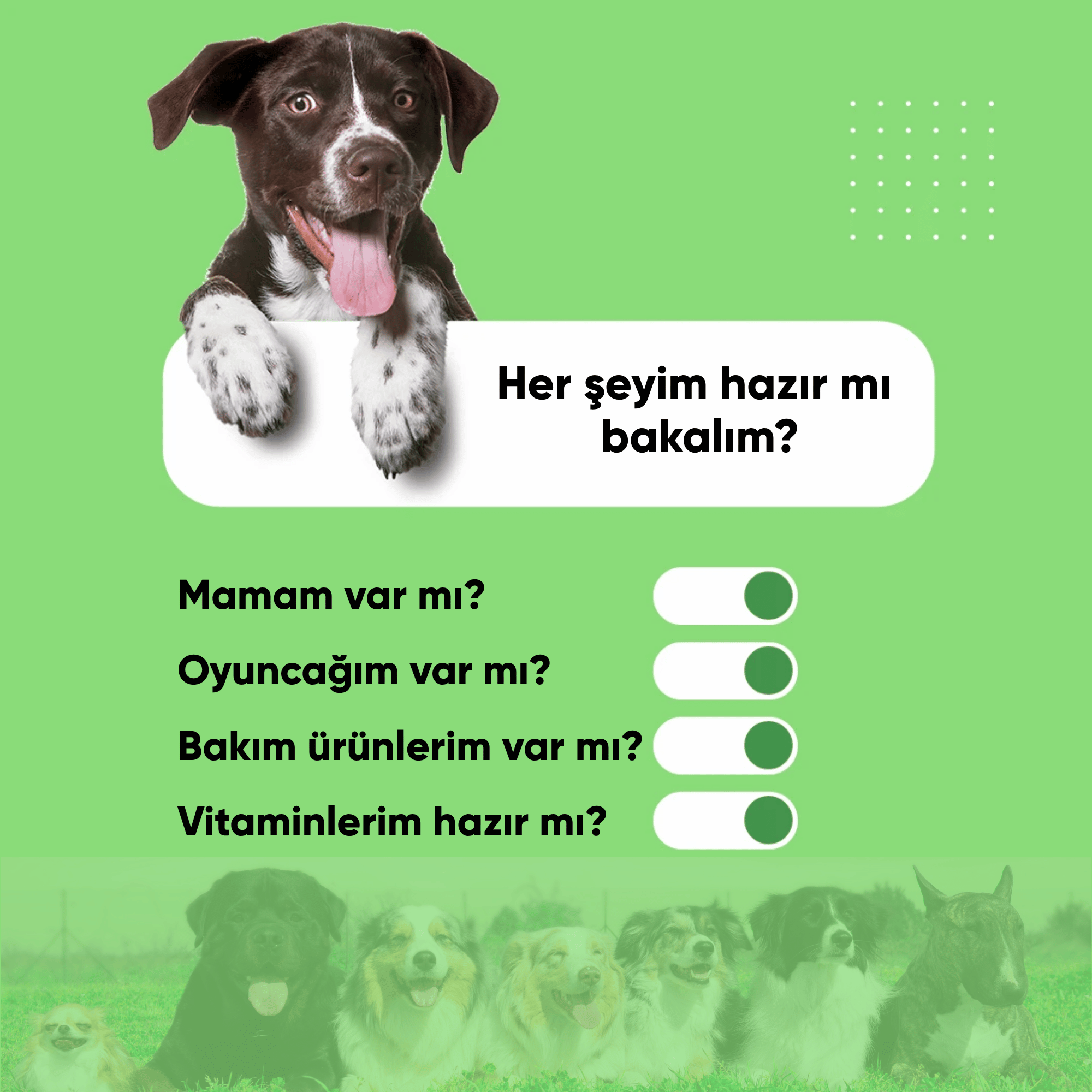 köpek maması ve vitaminleri